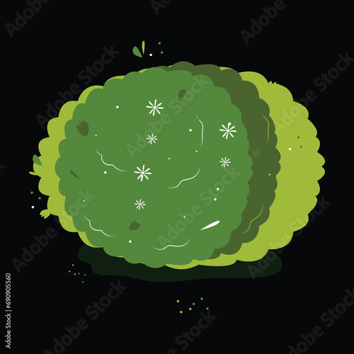 Bush for decorate the garden beautifully. 庭を美しく飾るためのブッシュ。