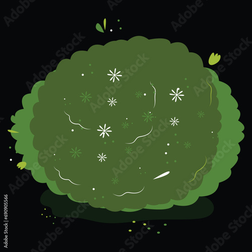 Bush for decorate the garden beautifully. 庭を美しく飾るためのブッシュ。