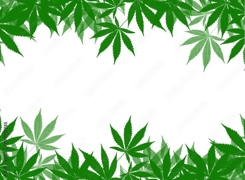 Marijuana border Marijuana border