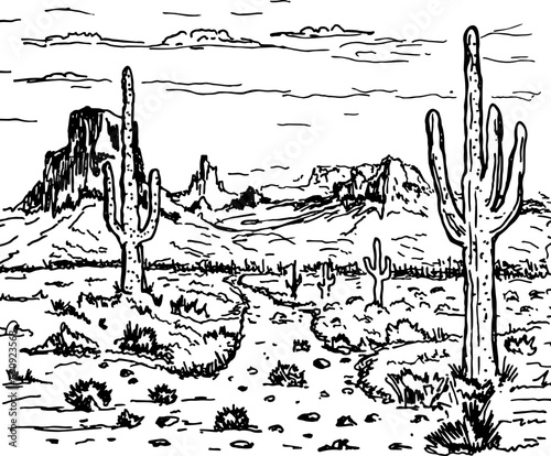 Desert panorama landscape, vector illustration. Hand drawn sketch desert with cacti and rocks. Prairie landscape. Arizona line art.