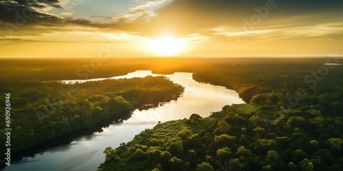 Beautiful Green Amazon Forest Landscape photo