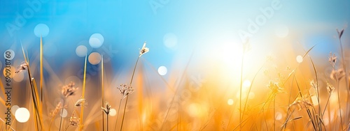 Sunlight falling onto a grain field. Defocused effect.