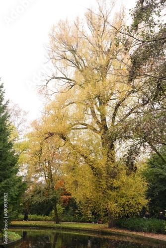 Photography Vibrant nature in Denmark