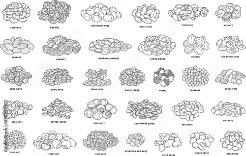 Hand drawn kids drawing Vector illustration nuts, beans, seeds icon in doodle style