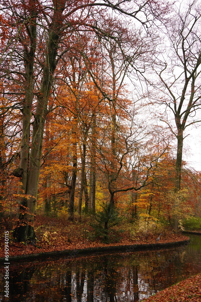 Vibrant nature in Denmark Vibrant nature in Denmark