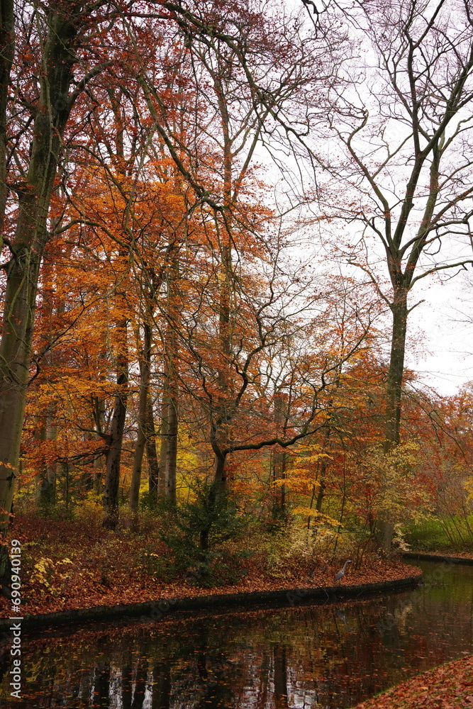 Vibrant nature in Denmark