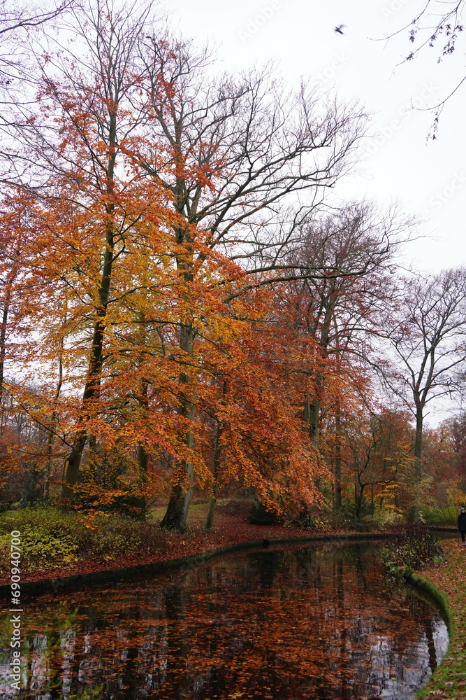 Fototapeta premium Vibrant nature in Denmark