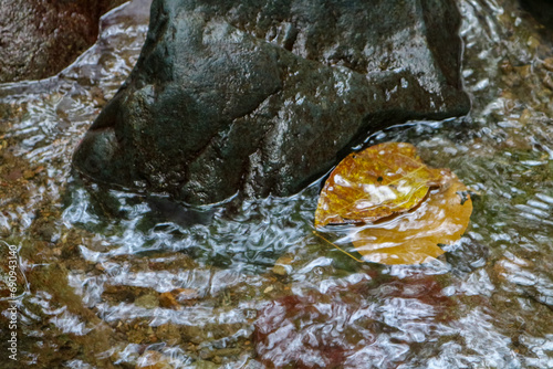 Beautiful natural background of stones and fallen leaves in a stream.