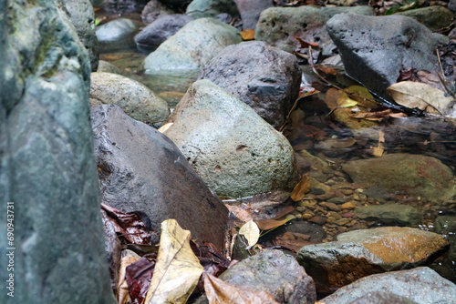 Beautiful natural background of stones and fallen leaves in a stream.