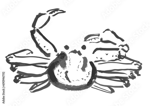 ズワイガニ和風手描きイラスト（モノクロの墨絵）