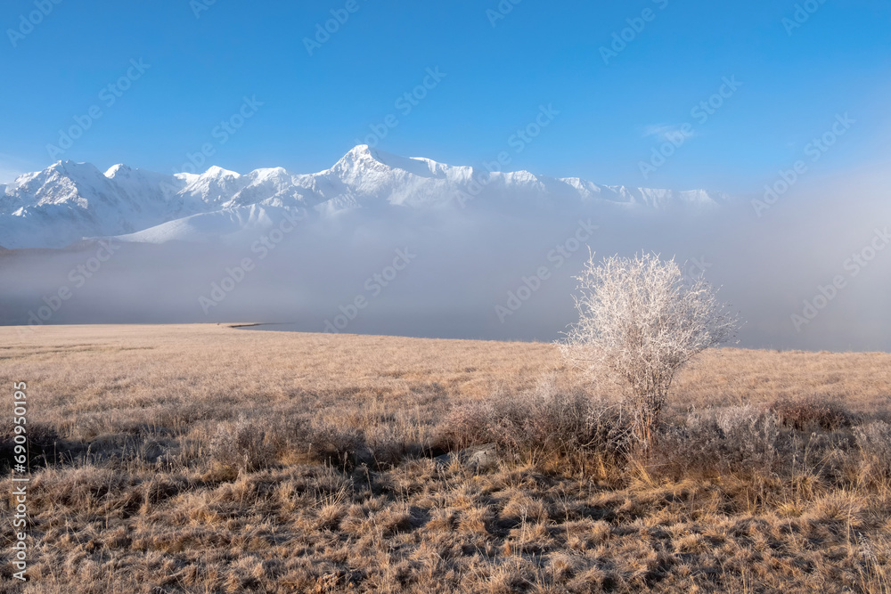 Lonely solitary frozen bush tree in an open autumn field on the snow mountain background. Beautiful sunny foggy morning in the mountains. Autumn frost on dry grass. Snowy peaks in foggy clouds. Lonely solitary frozen bush tree in an open autumn field on the snow mountain background. Beautiful sunny foggy morning in the mountains. Autumn frost on dry grass. Snowy peaks in foggy clouds.