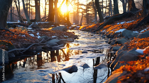  Golden Sunset over Spring Stream With Budding Trees Along the Banks with Melting Snow, Forest Creek