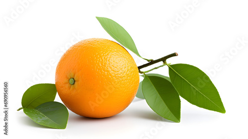 Seville orange isolated on a white background