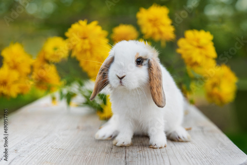 Little decorative fold rabbit outdoors in summer