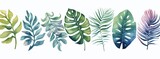 Beautiful watercolor tropical leaves painted on white paper, Generative AI