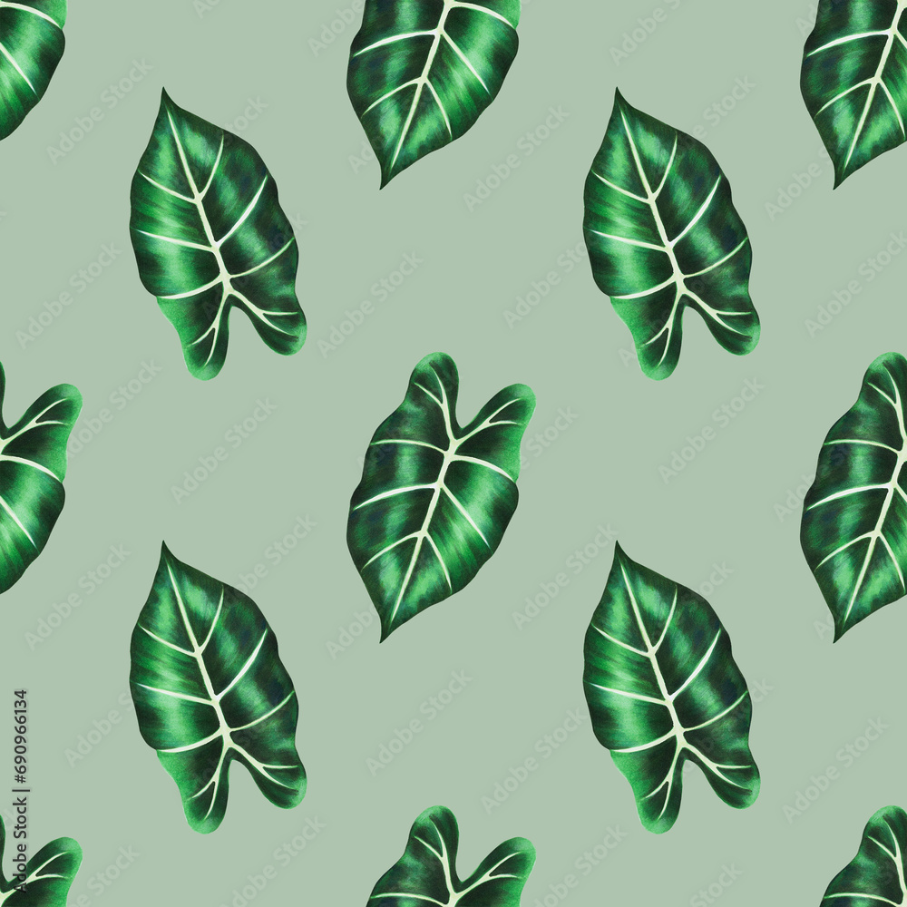Obraz premium Watercolor realistic tropical seamless pattern illustration of Alocasia leaf isolated on white background. Beautiful botanical hand painted floral elements. For designer