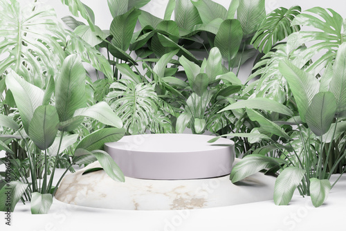3d rendering podium background illustration element