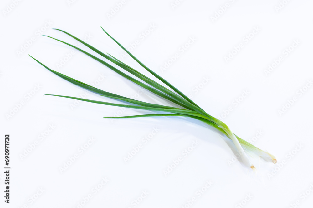 A fresh spring onion on a white background A fresh spring onion on a white background