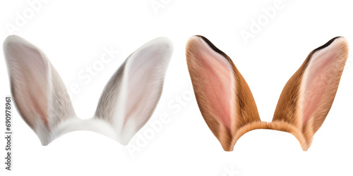 rabbit ears on a transparent background for the easter concept