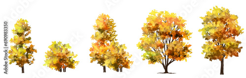 Vertor set of autumn tree,plants side view for landscape elevation and section,eco environment concept design,watercolor ginkgo tree illustration,colorful
 season photo