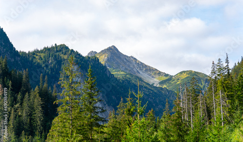mountain view forest landscape Poland Zakopane © Андрей Трубицын