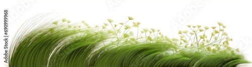 Nature grass meadow flow cut out backgrounds 3d rendering, Generative AI 