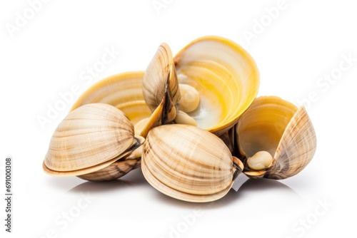 Asari clams isolated
