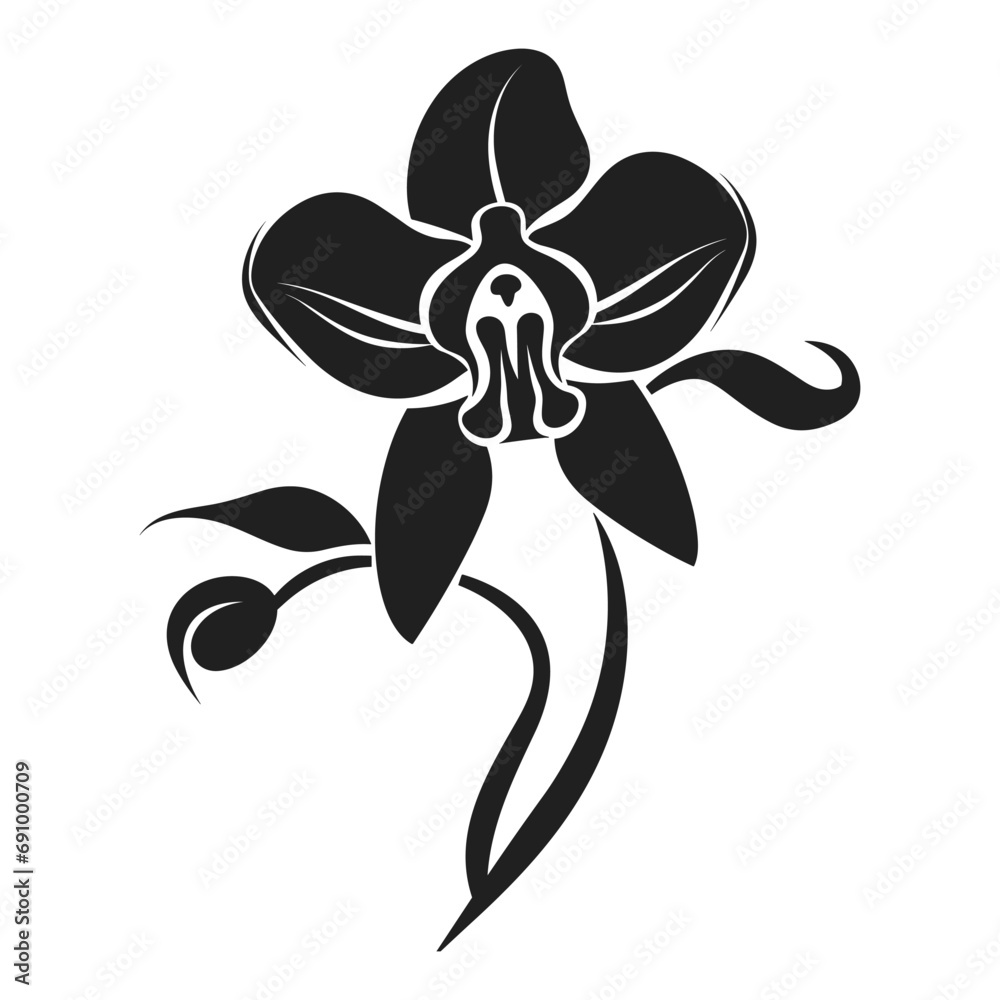 An Orchid Flower Vector Silhouette isolated on a white background