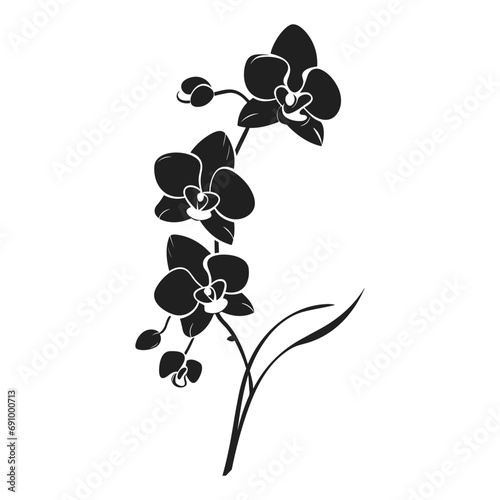 An Orchid Flower Vector Silhouette isolated on a white background
