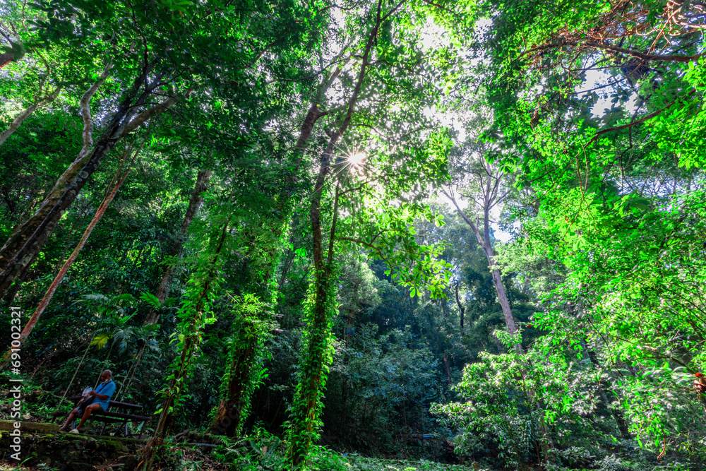 The view of the natural background of the mountain close-up, with blurred fog scattered in the rainy season or the humid climate, with beautiful green trees in the ecological system The view of the natural background of the mountain close-up, with blurred fog scattered in the rainy season or the humid climate, with beautiful green trees in the ecological system