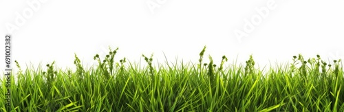 Greenery nature grass meadow landscaping cut out white backgrounds 3d rendering, Generative AI 
