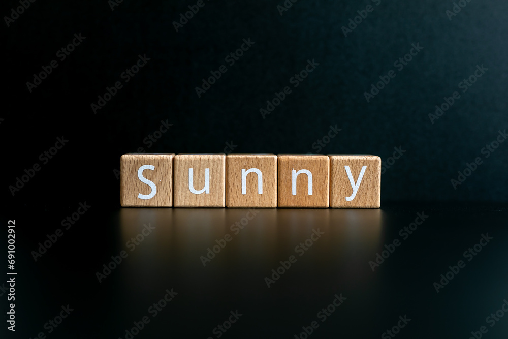 Obraz premium Wooden blocks form the text 