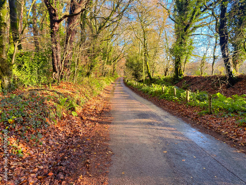 Road at Woodbury Common in Devon