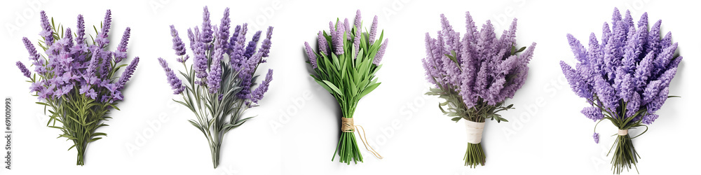 Set of lavender flowers isolated on transparent background. Generative AI Set of lavender flowers isolated on transparent background. Generative AI