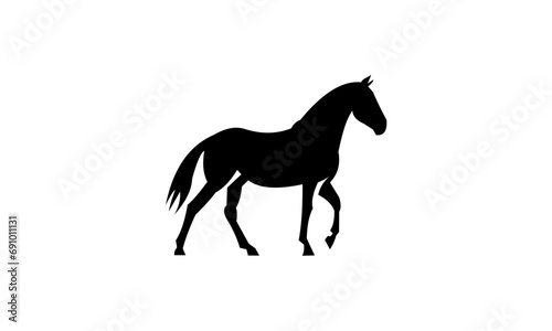 horse illustration