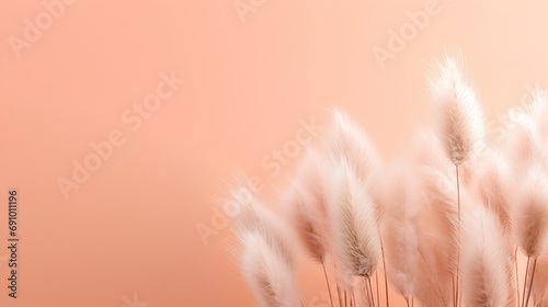 An elegant and serene essence of minimalism, featuring delicate dried bunny tail grass in a soft hue, set against a clean, neutral background with ample copy space for text. photo