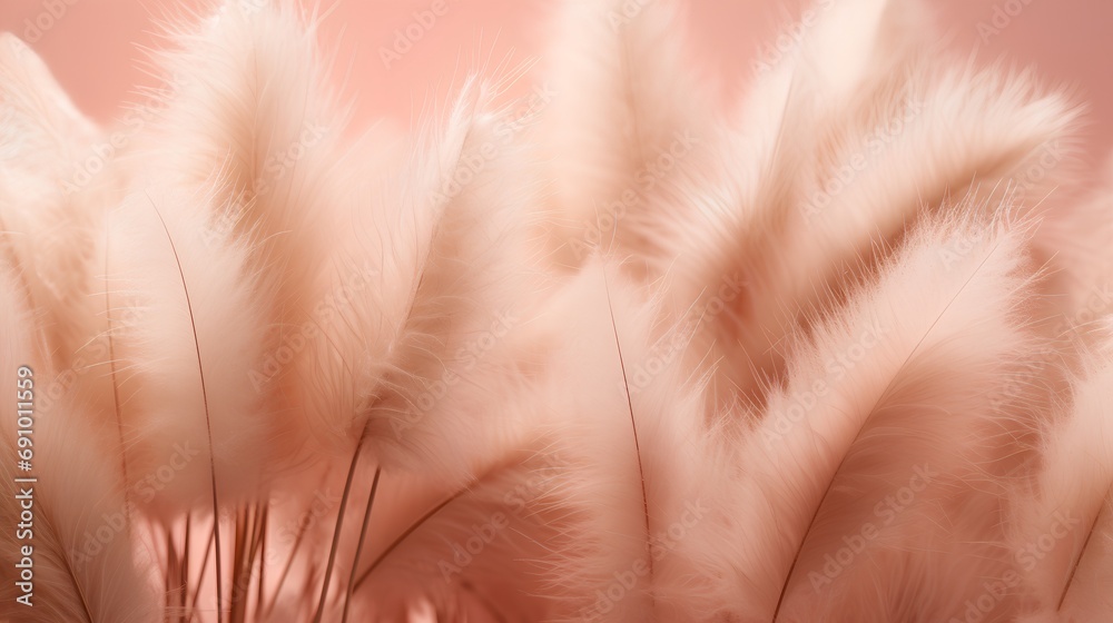 An elegant and delicate beauty of dried bunny tail grass, set against a soft background, embodying a minimalist aesthetic that evokes a sense of gentleness and fragility. - obrazy, fototapety, plakaty 