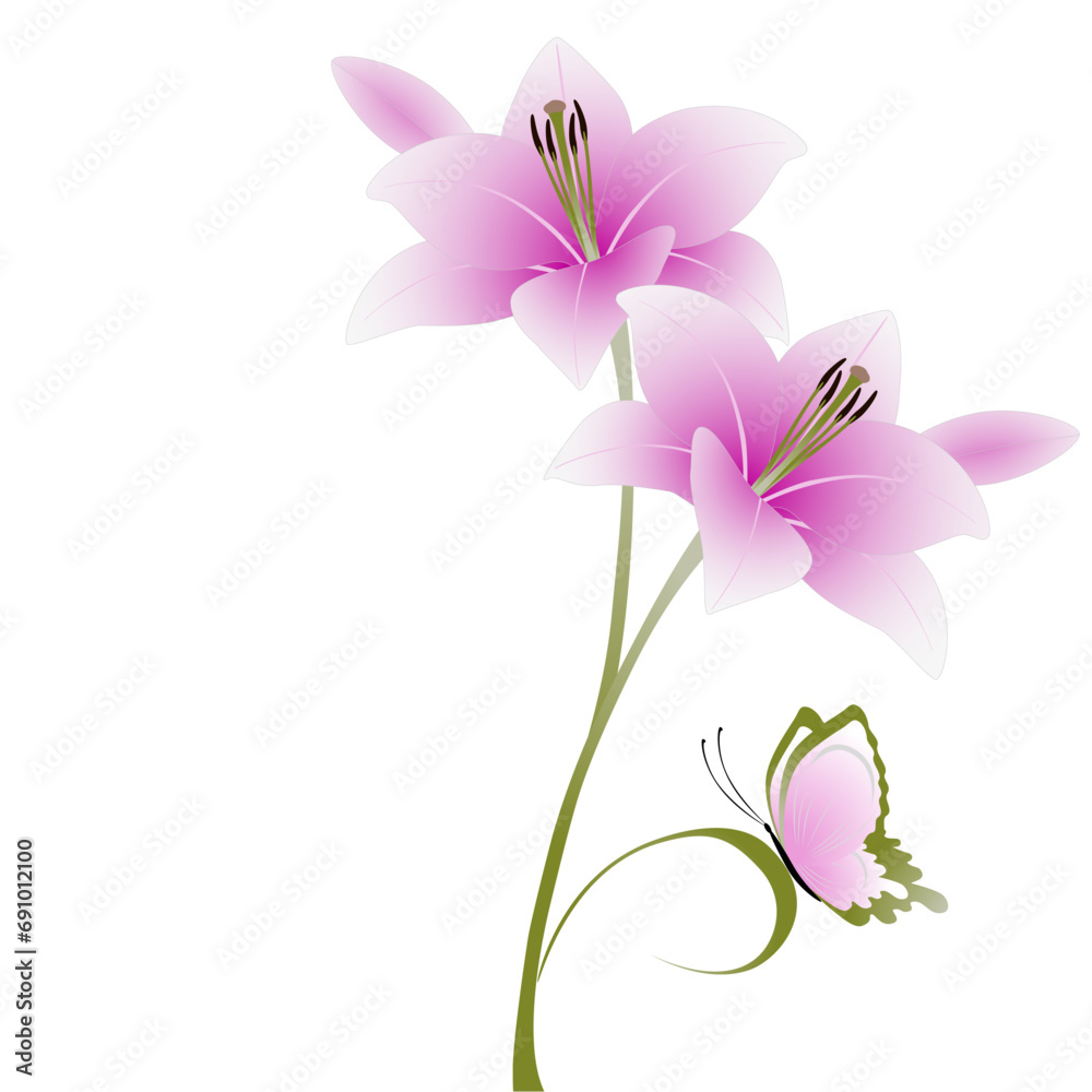 Floral background with lily flowers and butterfly on a white background.