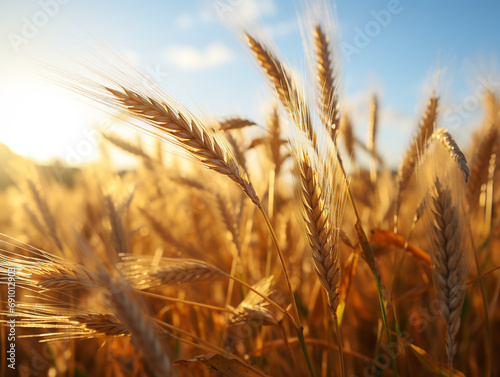 A vast sunlit field of golden wheat swaying in the breeze.