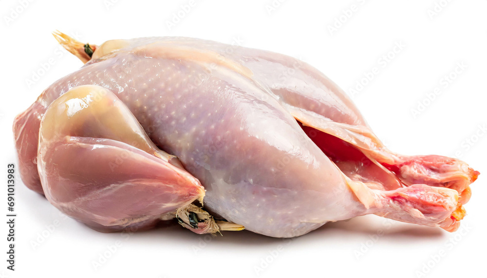 raw whole quail meat isolated on white background, cut out 