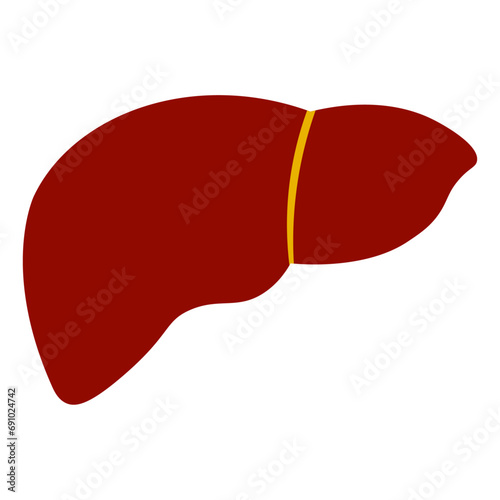 Human liver icon. Flat illustration of human liver vector icon for web design