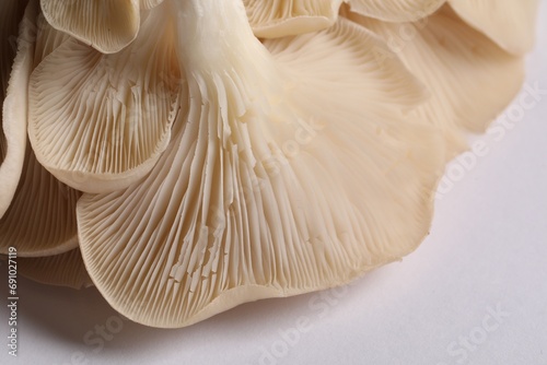 Fresh oyster mushrooms on white background, macro view