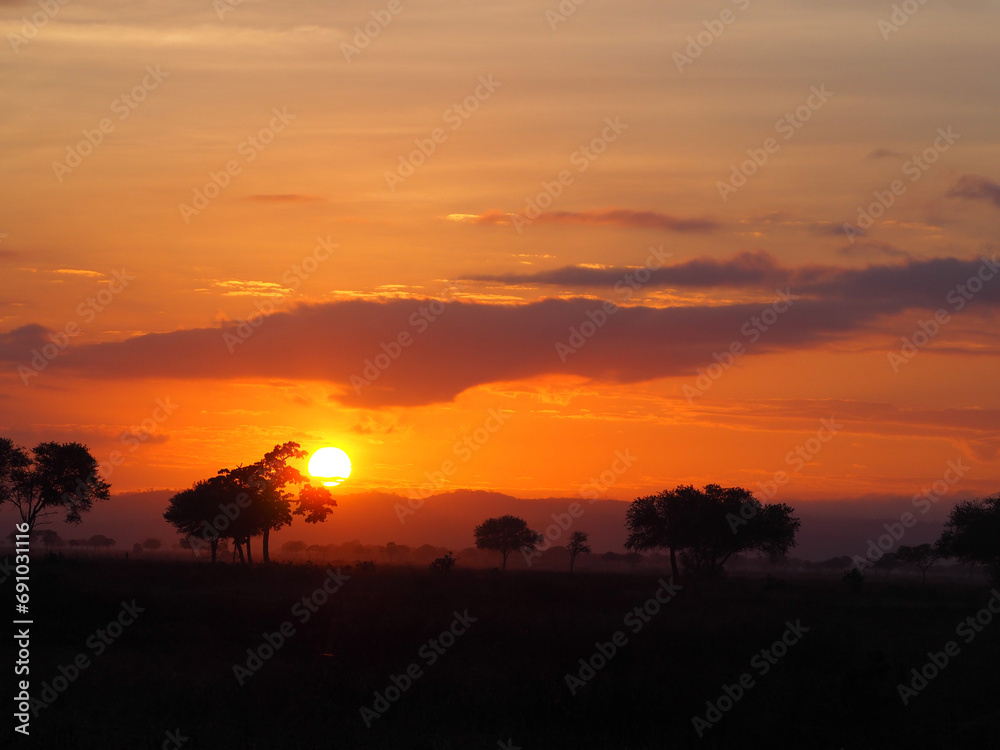 Lanscape scenic photo of sunset over the African savannah, orange and yellow sky, soft clouds, black silhouettes of trees