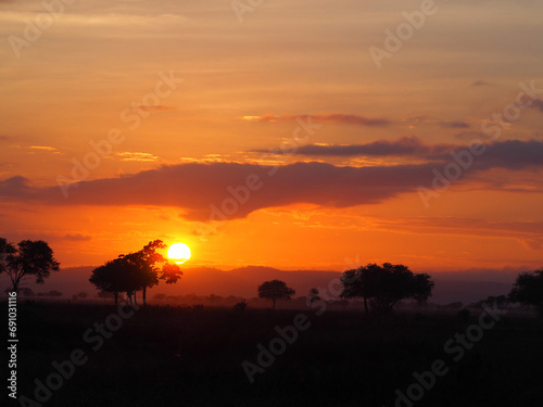 Lanscape scenic photo of sunset over the African savannah  orange and yellow sky  soft clouds  black silhouettes of trees