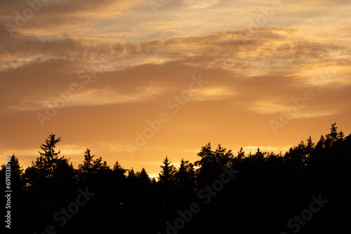 Eine Baumsilhouette von einem Wald und ein Sonnenuntergang dahinter zur goldenen Stunde