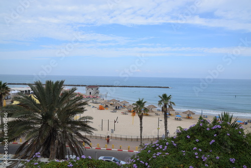 beach with trees photo