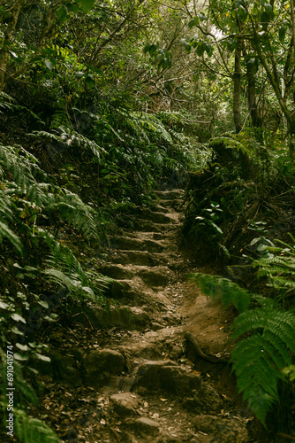 El Pijaral hiking path in Anaga Mounitains, Tenerife, Canary Islands photo