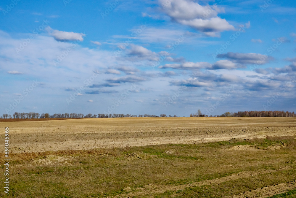 A photo of a field with a forest in the background and a blue sky with white clouds.