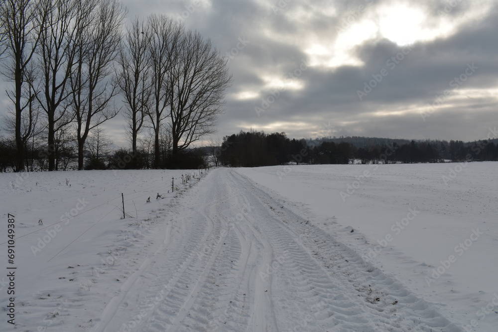 fields forerst in winter germany hessia fields forerst in winter germany hessia