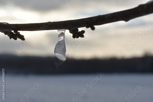 fields forerst in winter germany hessia photo